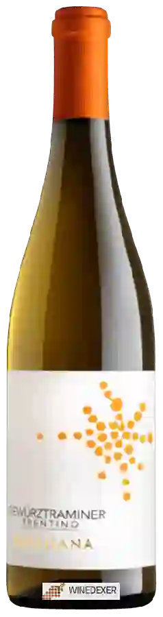Winery Cantina Rotaliana - Trentino Gewurztraminer