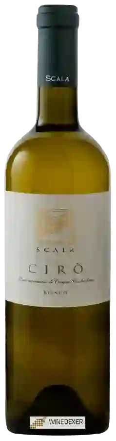 Winery Scala - Cirò Bianco Winery Scala - Cirò Bianco