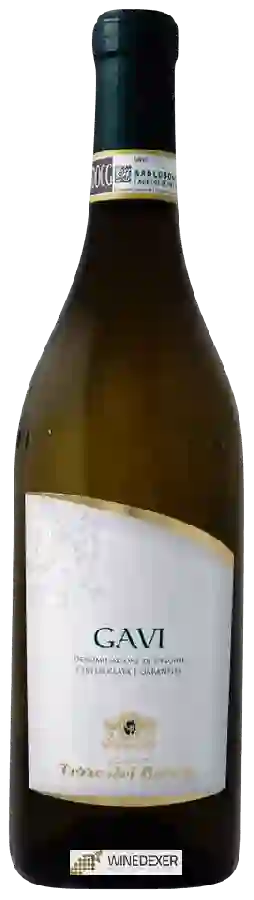 Winery Terre del Barolo - Gavi Winery Terre del Barolo - Gavi
