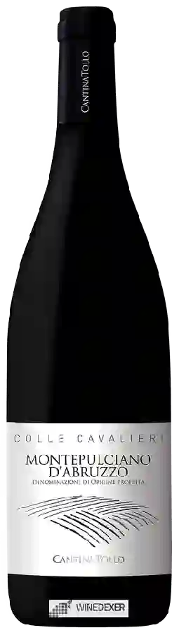 Winery Cantina Tollo - Colle Cavalieri Montepulciano d'Abruzzo Winery Cantina Tollo - Colle Cavalieri Montepulciano d'Abruzzo