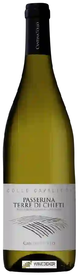 Winery Cantina Tollo - Colle Cavalieri Passerina Terre di Chieti