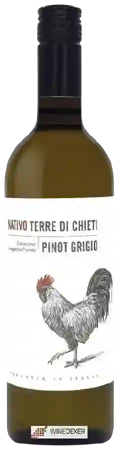 Winery Cantina Tollo - Nativo Pinot Grigio