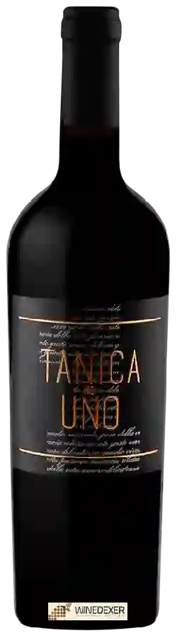 Winery Cantina Tollo - Tanica Uno Winery Cantina Tollo - Tanica Uno