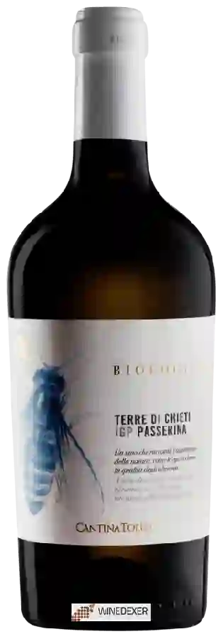 Winery Cantina Tollo - Terre di Chieti Passerina Biologico