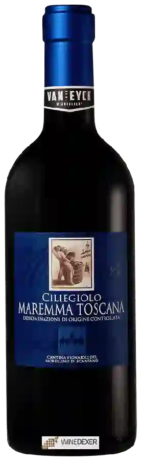 Winery Cantina Vignaioli del Morellino di Scansano - Ciliegiolo Maremma Toscana