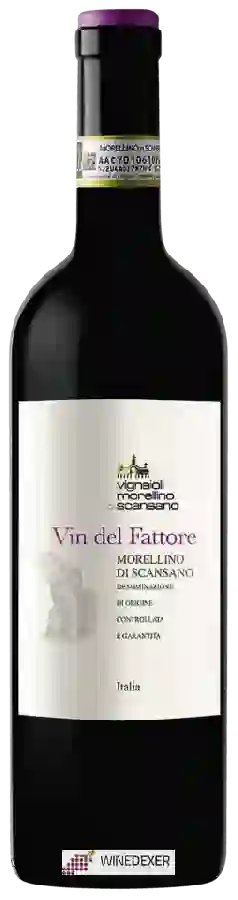 Winery Cantina Vignaioli del Morellino di Scansano - Morellino di Scansano Vin del Fattore