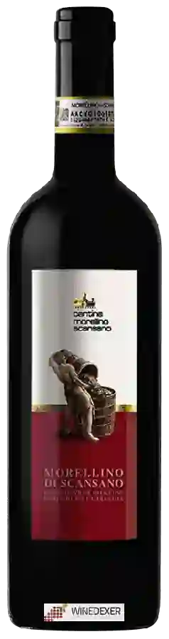 Winery Cantina Vignaioli del Morellino di Scansano - Morellino di Scansano