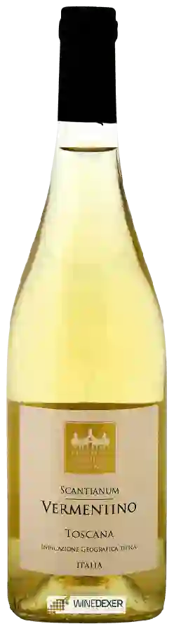 Winery Cantina Vignaioli del Morellino di Scansano - Scantianum Vermentino Toscana Winery Cantina Vignaioli del Morellino di Scansano - Scantianum Vermentino Toscana