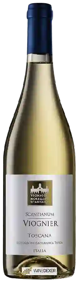 Winery Cantina Vignaioli del Morellino di Scansano - Scantianum Viognier