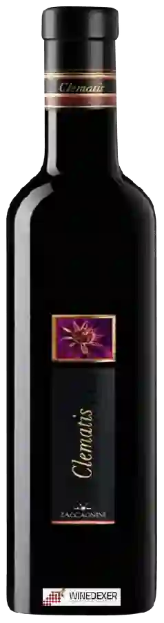 Winery Cantina Zaccagnini - Clematis