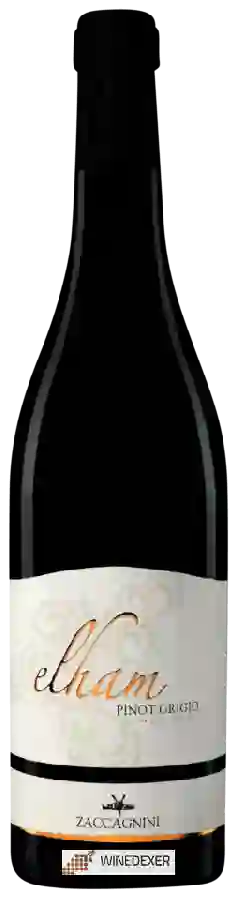 Winery Cantina Zaccagnini - Elham Pinot Grigio