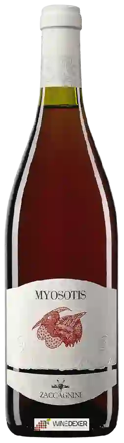 Winery Cantina Zaccagnini - Myosotis Winery Cantina Zaccagnini - Myosotis