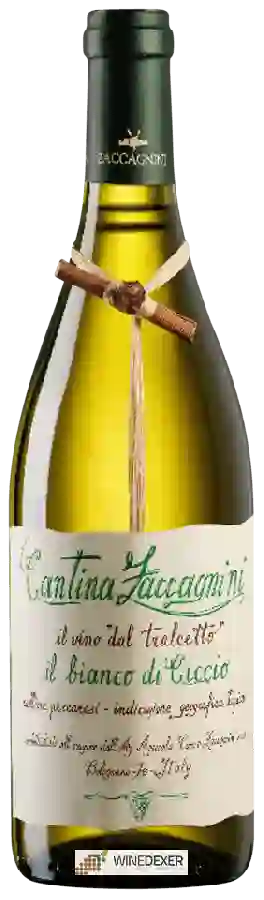 Winery Cantina Zaccagnini - Trebbiano d'Abruzzo Winery Cantina Zaccagnini - Trebbiano d'Abruzzo