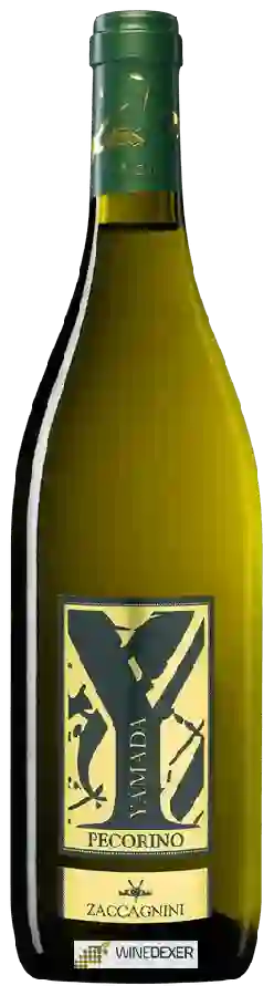 Winery Cantina Zaccagnini - Yamada