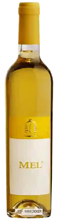 Winery Antonio Caggiano - Mel