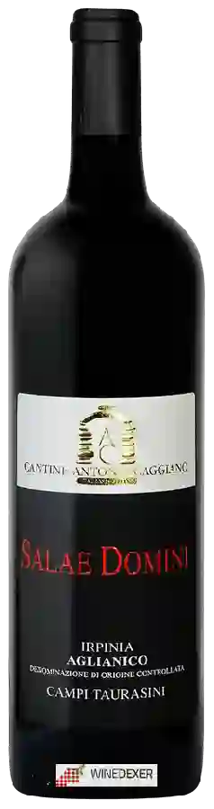 Winery Antonio Caggiano - Salae Domini Irpinia Campi Taurasini