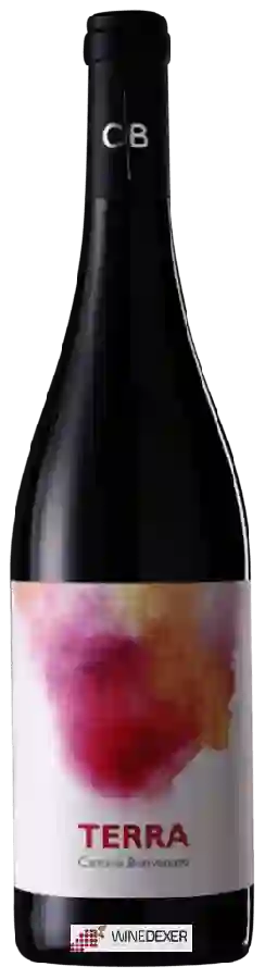 Winery Cantine Benvenuto - Terra