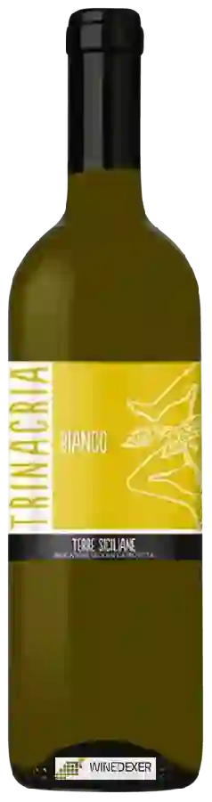 Winery Cantine Birgi - Trinacria Bianco