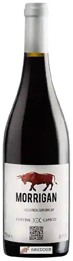 Winery Cantine Capecci - Morrigan Rosso Piceno Superiore