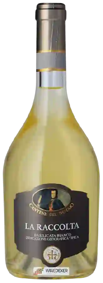 Winery Cantine del Notaio - La Raccolta Winery Cantine del Notaio - La Raccolta