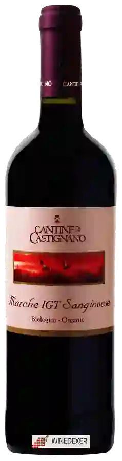 Winery Cantine di Castignano - Sangiovese Winery Cantine di Castignano - Sangiovese