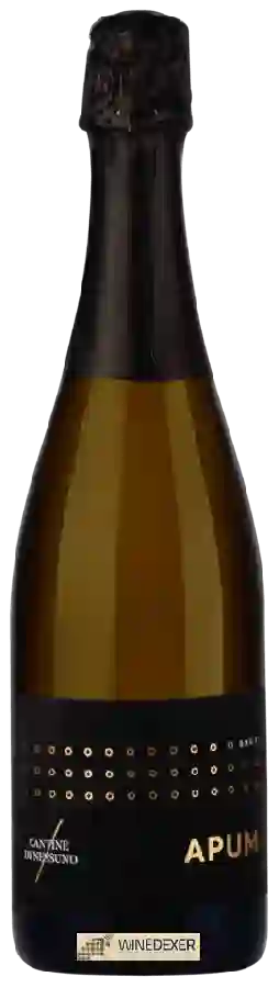 Winery Cantine di Nessuno - Apum Brut