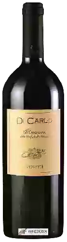Winery Lenotti - Amarone della Valpolicella Classico di Carlo