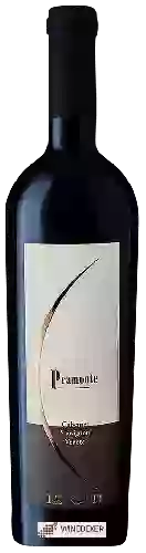 Winery Lenotti - Cabernet Sauvignon Veneto Pramonte