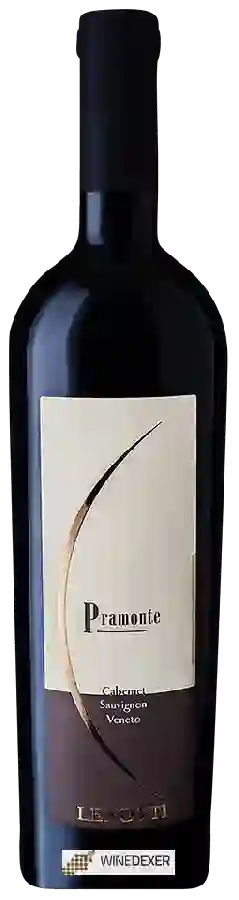 Winery Lenotti - Cabernet Sauvignon Veneto Pramonte