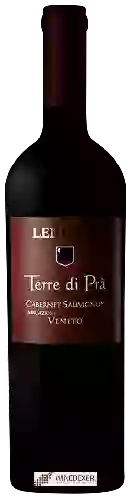 Winery Lenotti - Cabernet Sauvignon Veneto Terre di Pra'