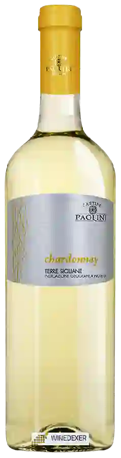 Winery Cantine Paolini - Chardonnay
