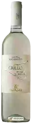 Winery Cantine Paolini - Conte di Matarocco Grillo