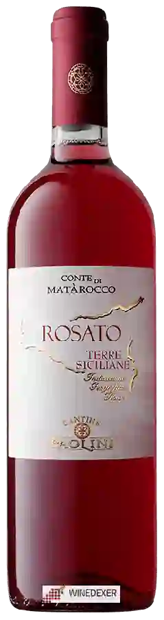 Winery Cantine Paolini - Conte di Matarocco Rosato