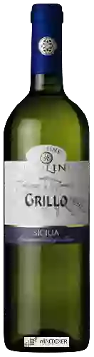 Winery Cantine Paolini - Grillo