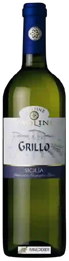 Winery Cantine Paolini - Grillo Winery Cantine Paolini - Grillo