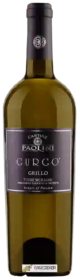 Winery Cantine Paolini - Gurgo Grillo Winery Cantine Paolini - Gurgo Grillo