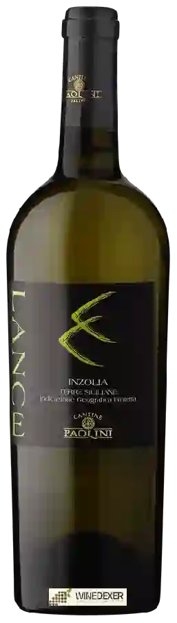 Winery Cantine Paolini - Lance Inzolia