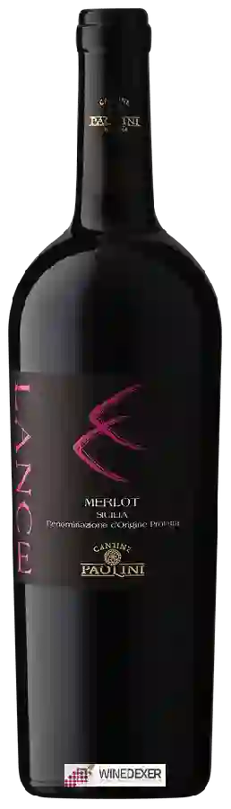 Winery Cantine Paolini - Lance Merlot Winery Cantine Paolini - Lance Merlot
