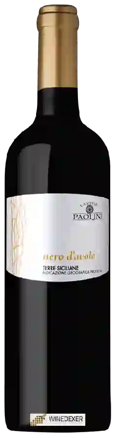 Winery Cantine Paolini - Nero d'Avola