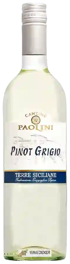 Winery Cantine Paolini - Pinot Grigio