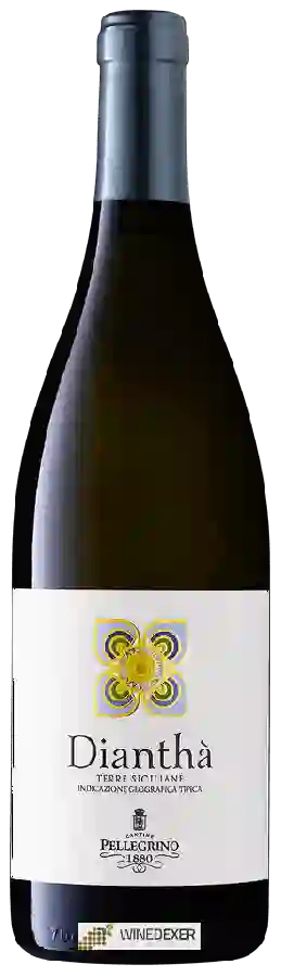 Winery Cantine Pellegrino - Dianthà Winery Cantine Pellegrino - Dianthà