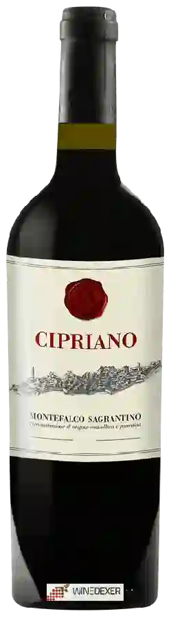 Winery Cantine Rialto - Cipriano Montefalco Sagrantino