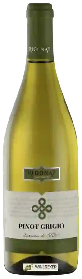 Winery Cantine Rigonat - Pinot Grigio