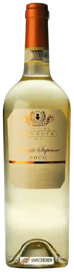 Winery Cantine Silvestri - Frascati Superiore Winery Cantine Silvestri - Frascati Superiore