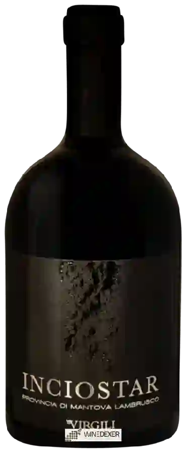 Winery Cantine Virgili Luigi - Inciostar Lambrusco Provincia di Mantova