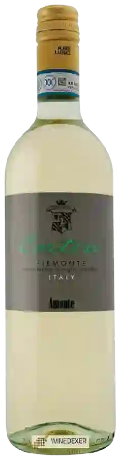 Winery Cantine Volpi - Amonte Cortese Winery Cantine Volpi - Amonte Cortese