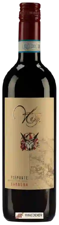 Winery Cantine Volpi - Barbera Piemonte