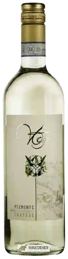 Winery Cantine Volpi - Cortese Piemonte Winery Cantine Volpi - Cortese Piemonte