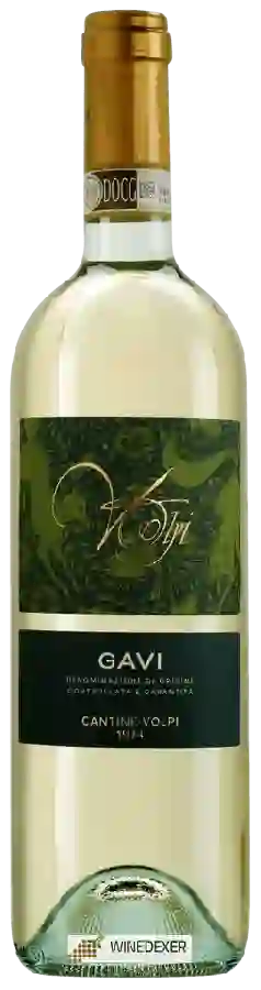 Winery Cantine Volpi - Gavi
