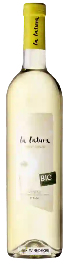 Winery Cantine Volpi - La Latura Pinot Grigio